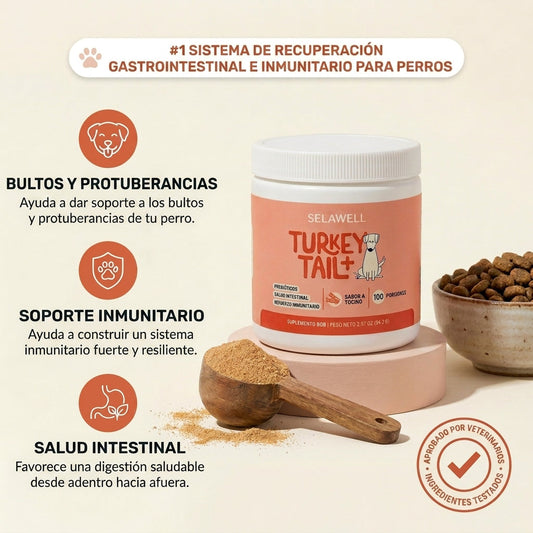 LUVAWELL Turkey Tail+ — Apoyo Intestinal e Inmunológico para Perros