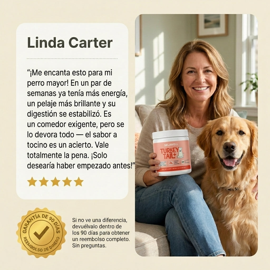 LUVAWELL Turkey Tail+ — Apoyo Intestinal e Inmunológico para Perros