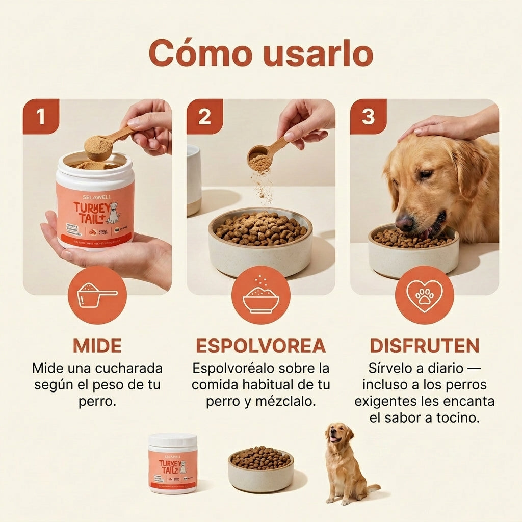 LUVAWELL Turkey Tail+ — Apoyo Intestinal e Inmunológico para Perros